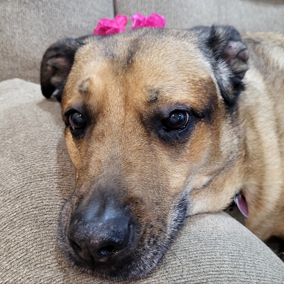 PLSreadBEFOREbuying! - Picture 1 of 13